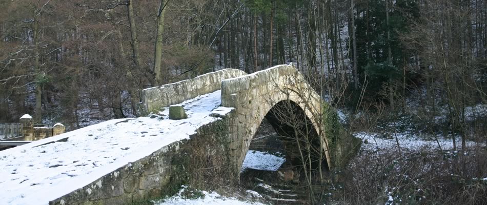 Yorkshire Moors